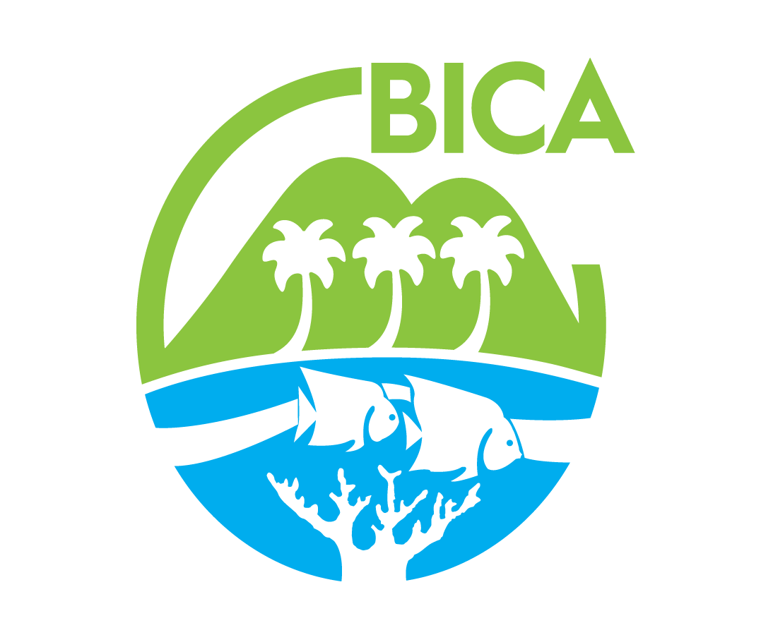 BICA foundation logo