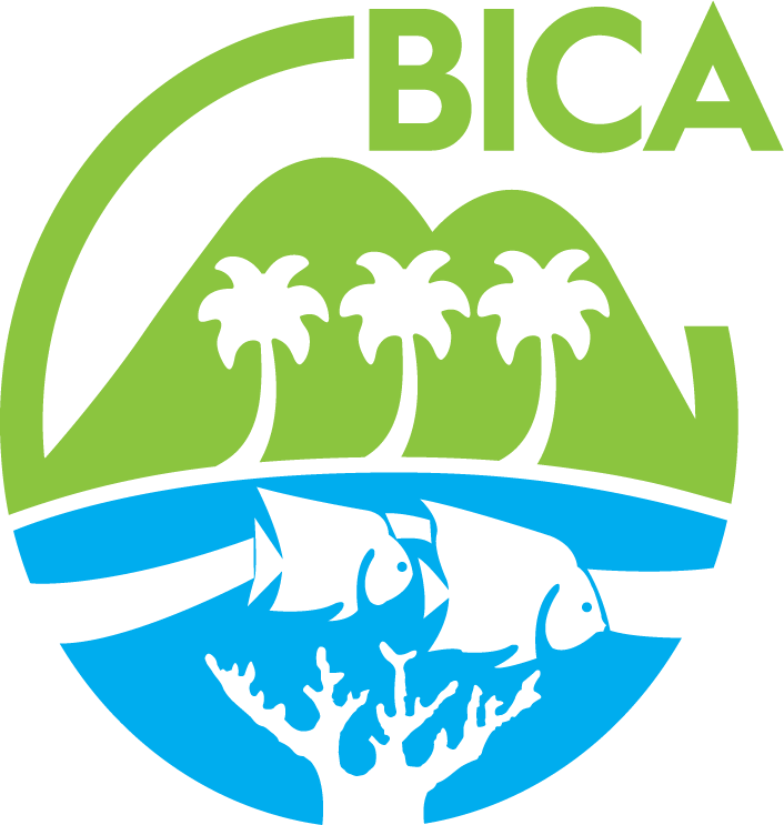 BICA